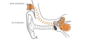 Diagram of how bone conduction works